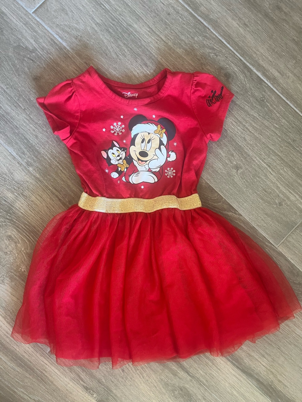 Disney Red Minnie Mouse Tulle Dress with Gold Waistband Accent